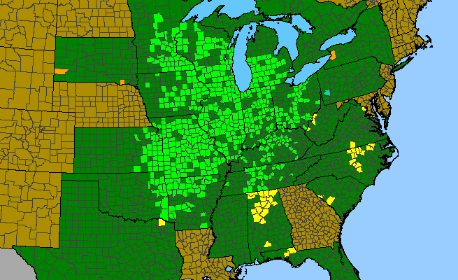 The range of Enemion biternatum
